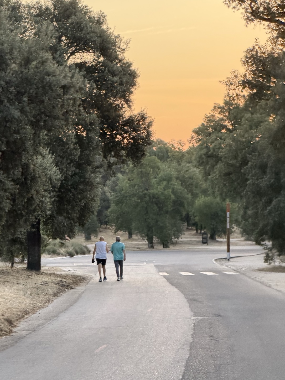 Two men in sportswear walk side by side away down a paved road through wooded parkland, seen from behind, beneath a warm orange early-morning sky.
