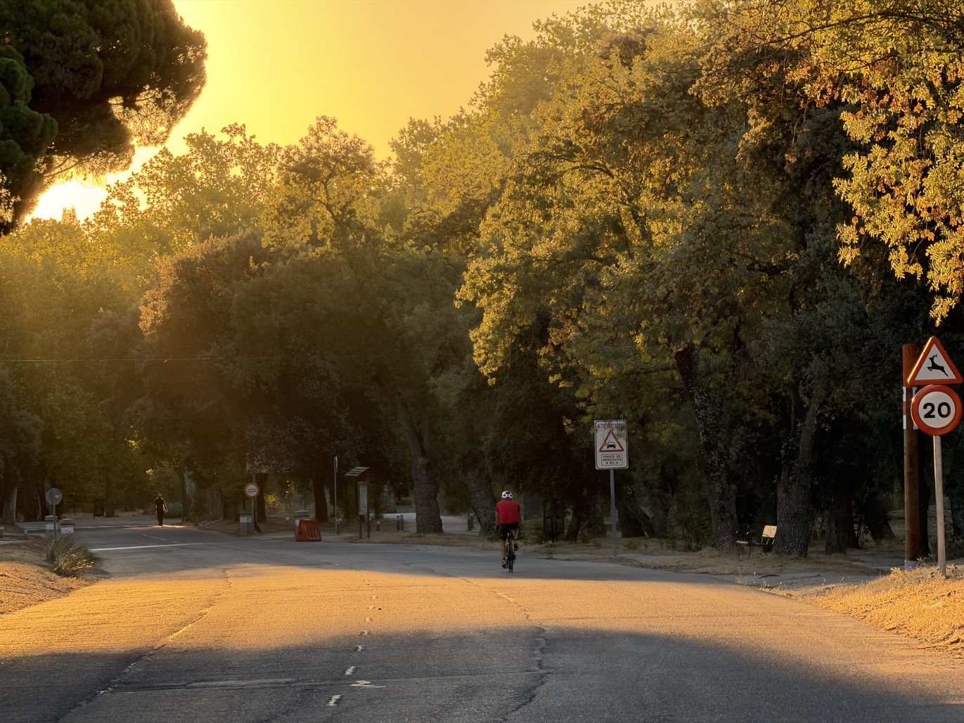 A cyclist in red rides away down a park road at sunrise, golden light streaming through the trees and casting long shadows across the asphalt.