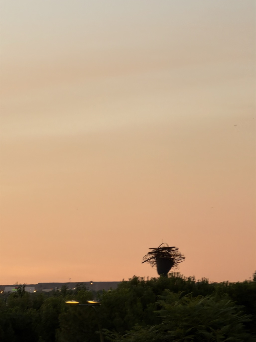 The silhouette of a large head sculpture crowned by a wild, tangled mass of metal hair rises above a dark tree line against a soft peach-and-orange sunset sky.