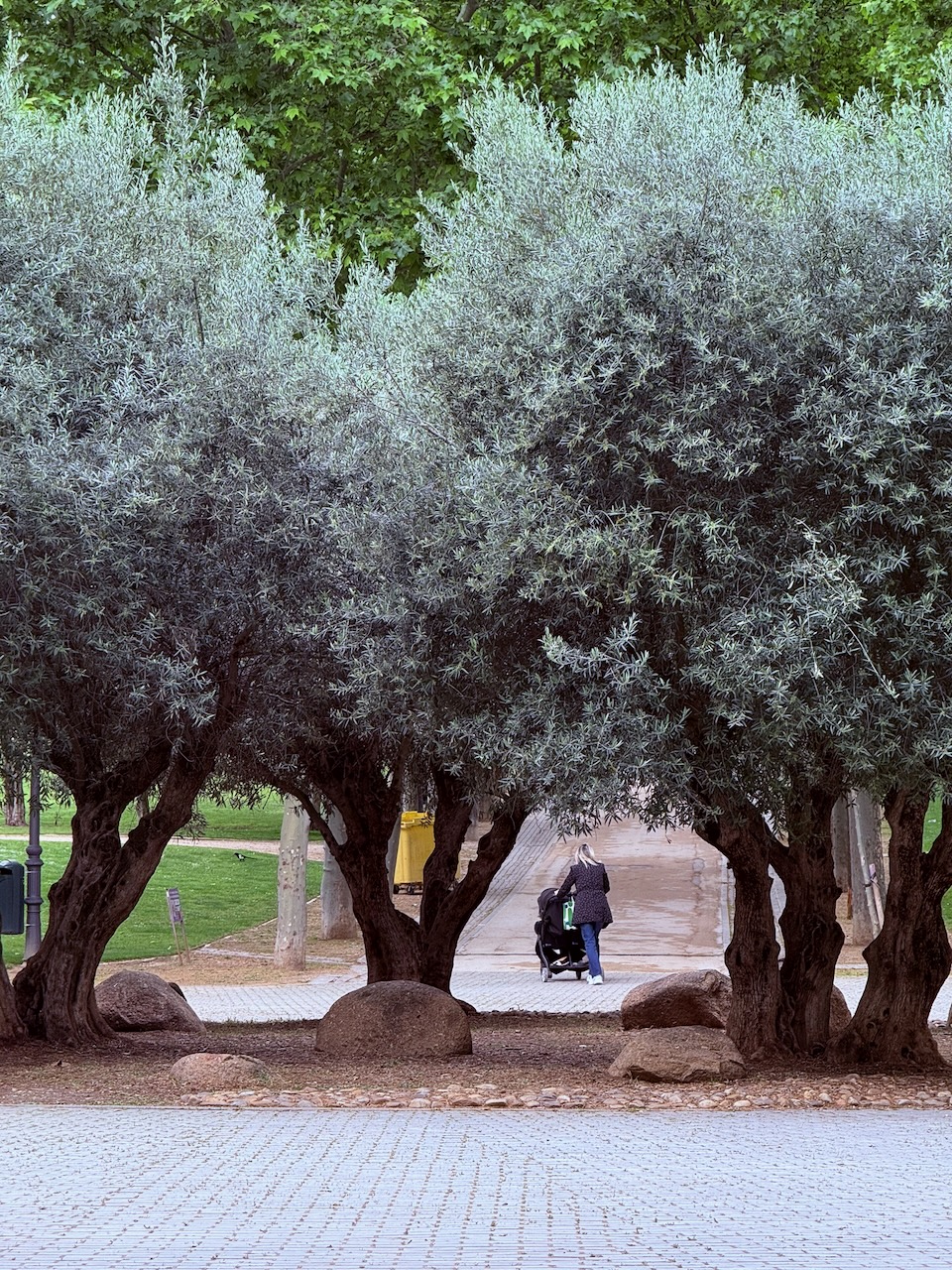 San Isidro Park, Madrid.