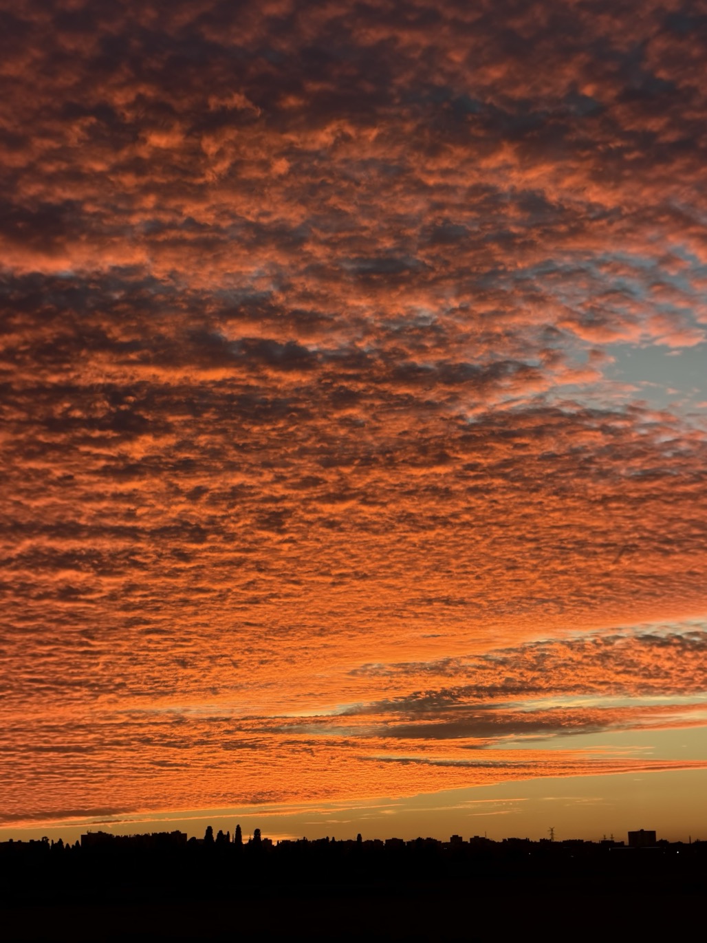 A sky full of fiery orange clouds stretches above a thin silhouetted city skyline at sunset.