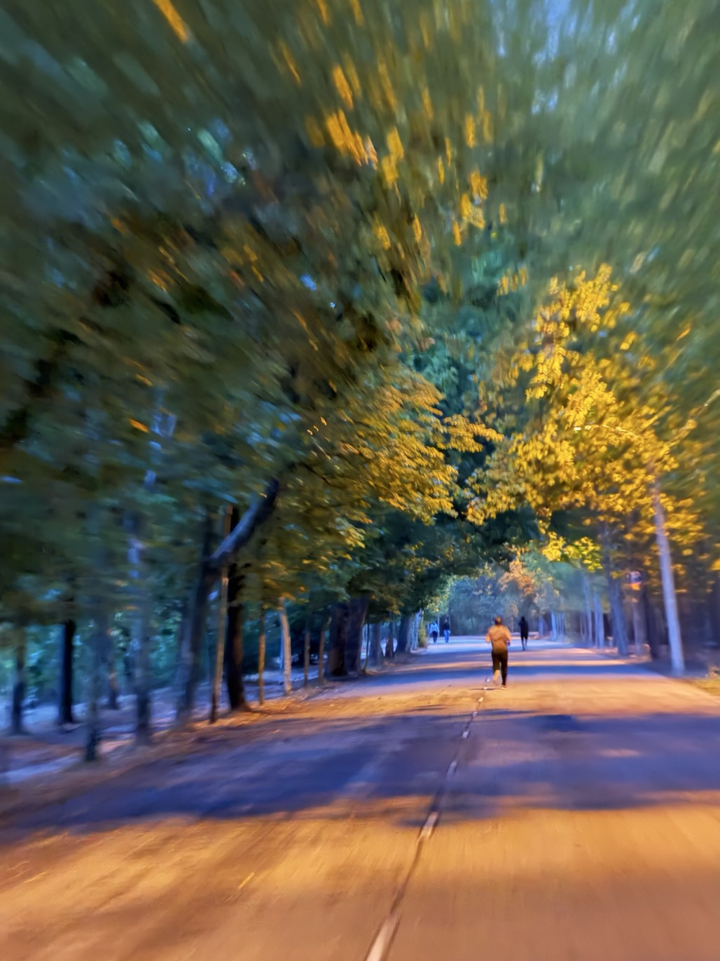 A runner and several distant figures on a tree-lined path, with green and yellow leaves lit by warm streetlights in the dim blue light.