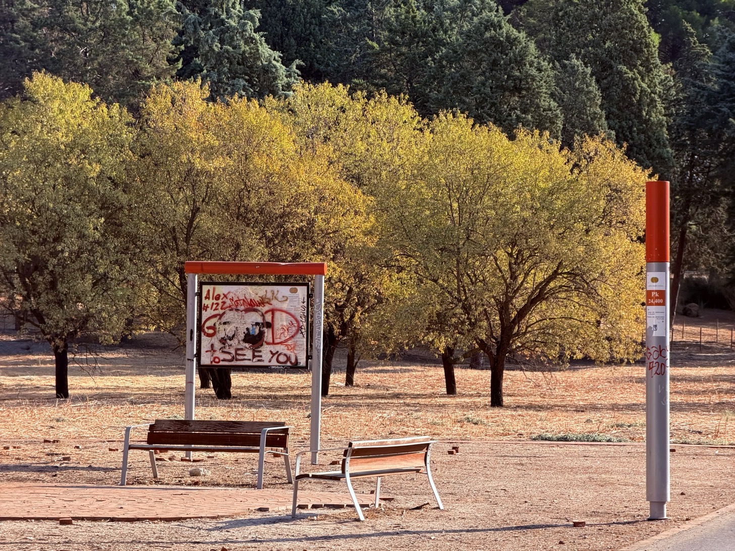 Trees with yellowing leaves behind two park benches, a graffiti-covered information board, and a red-topped marker post.
