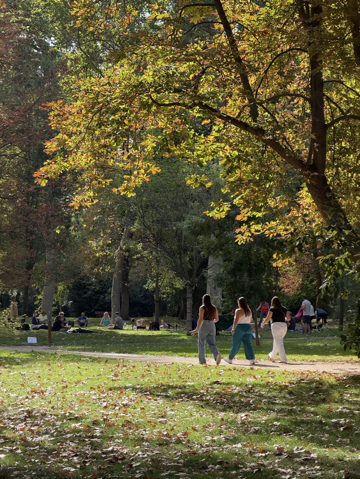 Three people walk along a park path beneath sunlit green and orange leaves, while others relax on the grass among the trees.