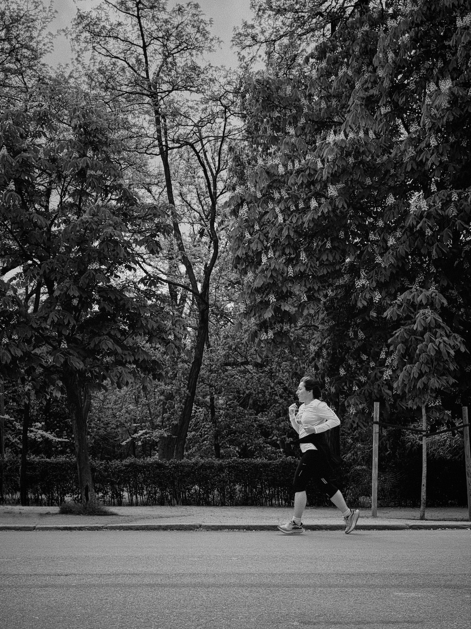 A person jogging on a road next to trees and a hedge.