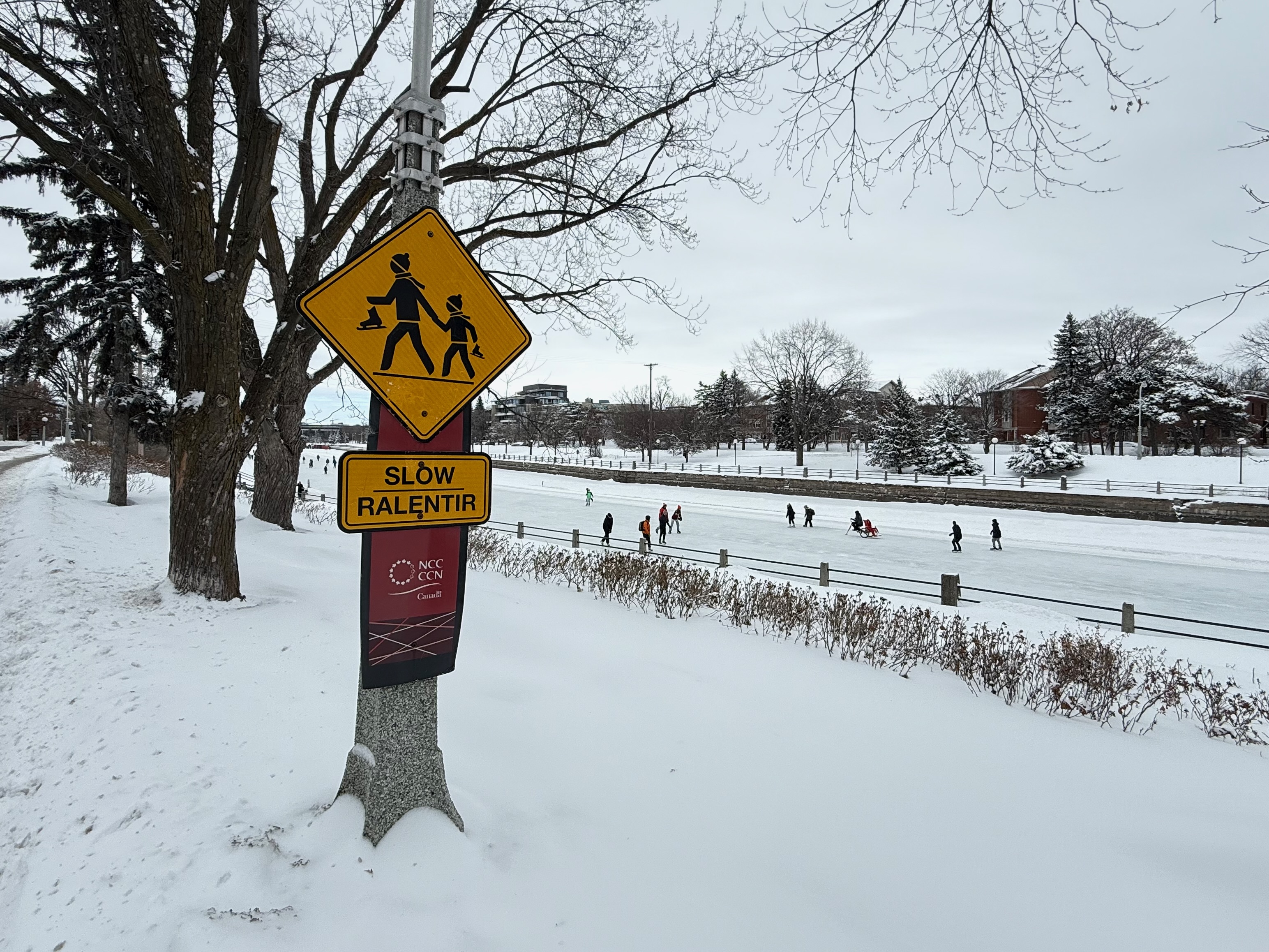 Winter scene with skating rink, snow, and Slow Ralentir sign near trees.