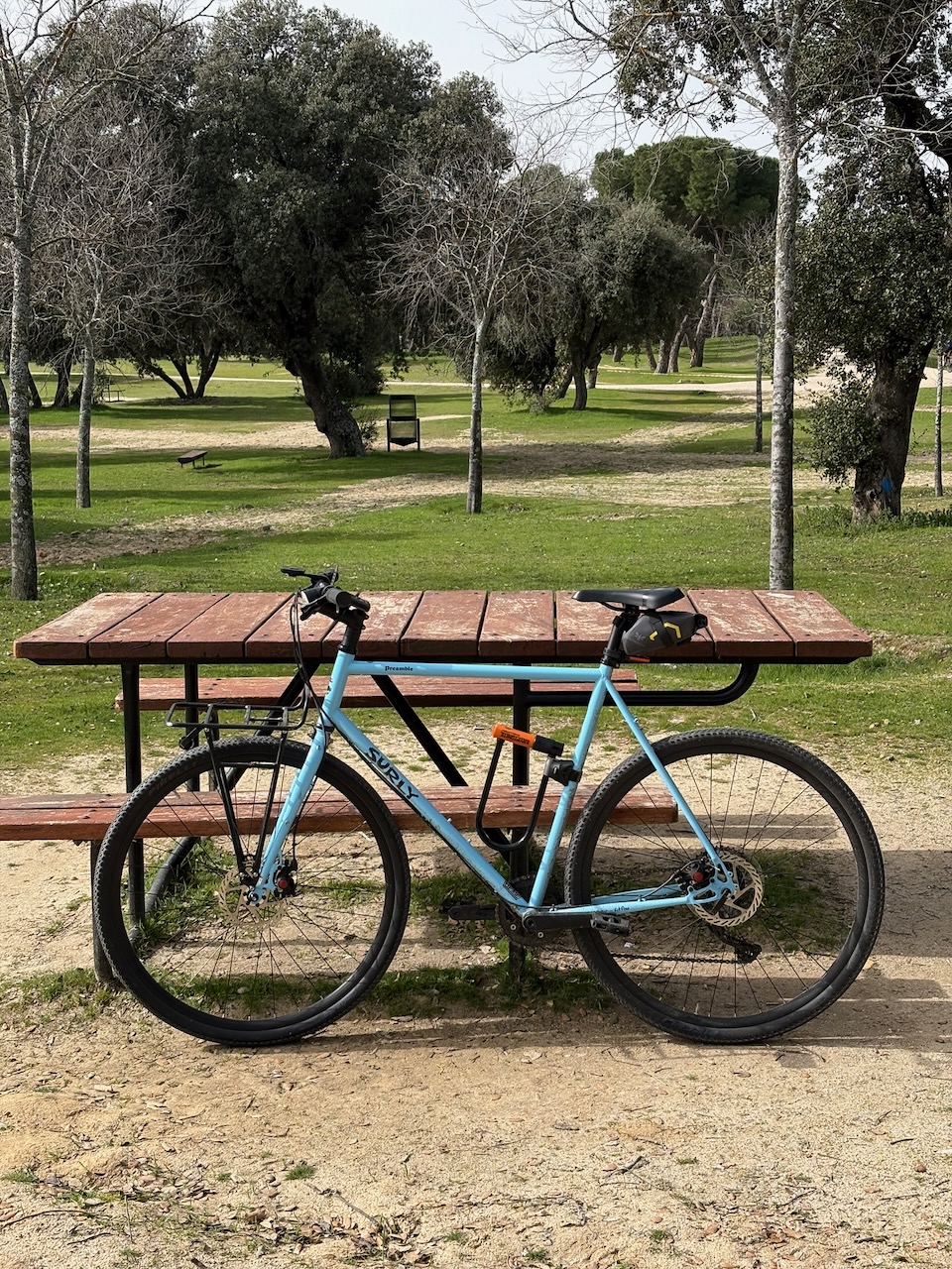 Blue gravel bike leaning against a wooden picnic table in a park with trees and grass.